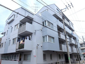 Opus21の画像