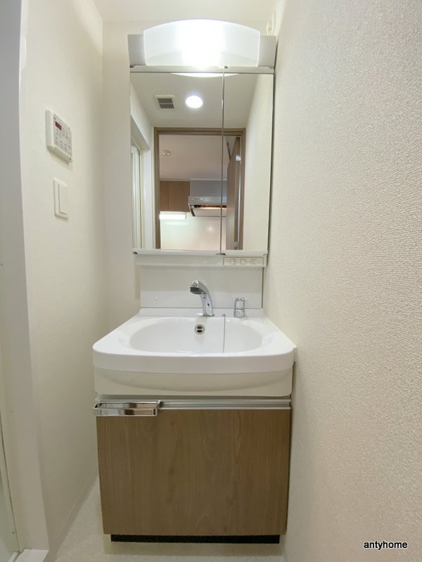 プレサンス大阪ゲートシティ 仲介手数料無料の洗面所