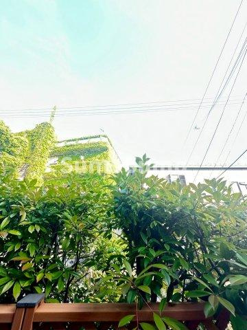 ピセッロ塩屋の展望