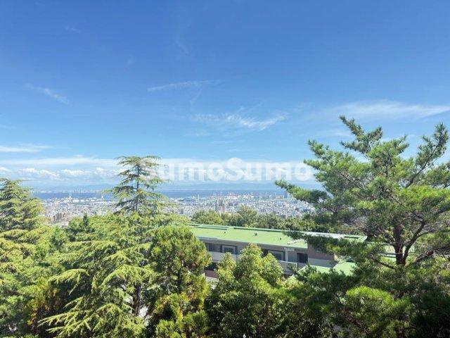 シャトー御影の展望
