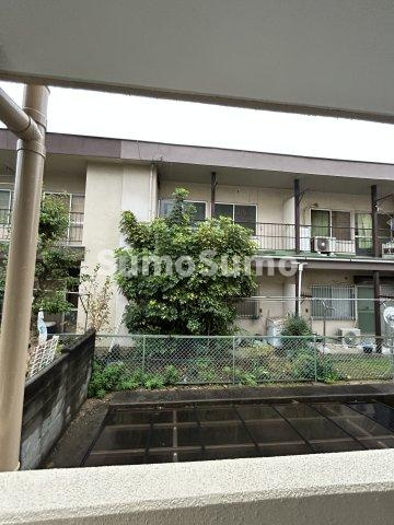 スプルースコートの展望