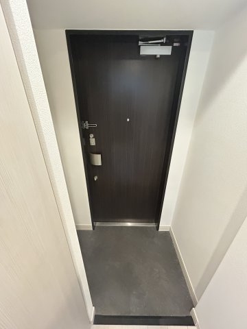 プレサンスタワー北浜の玄関