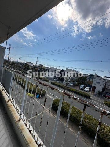 パインリーフ甲子園の展望