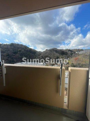 ハッピー・デンの展望