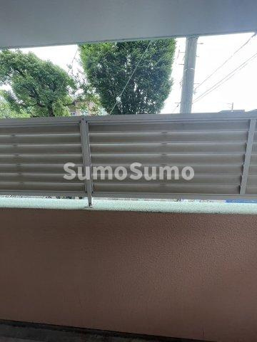 バイオレットコーポの展望