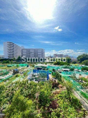 ハイツサンフラワーの展望