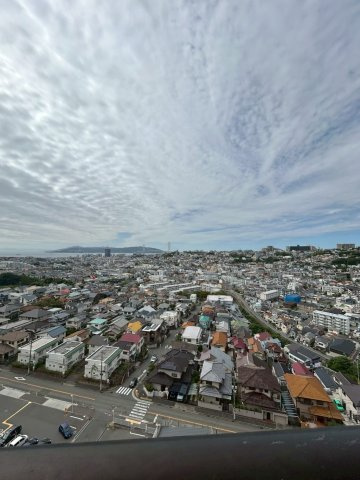 パームスクェアジェームス山の展望