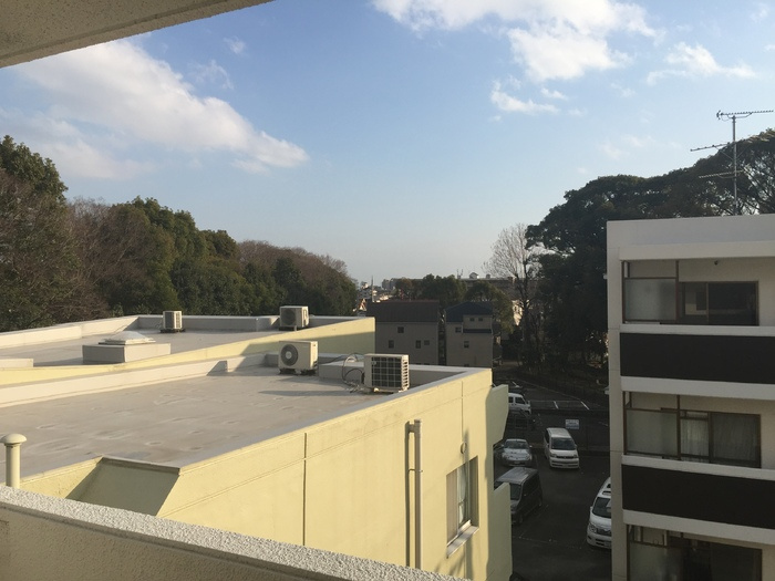 パープルツィン園田の展望