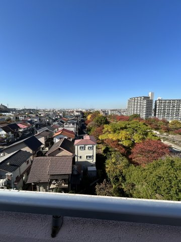 パセイオ・サンコーの展望