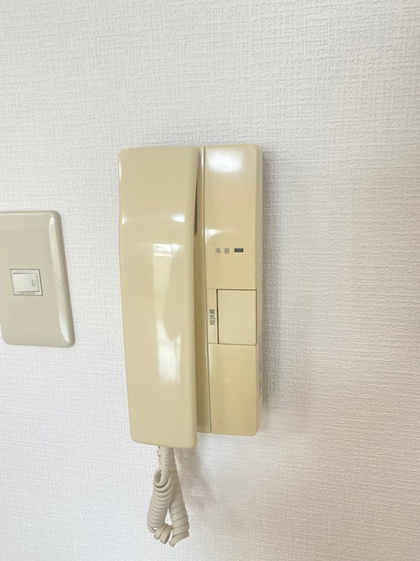 フィレンツェのセキュリティ