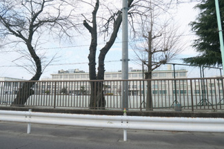 福生市立福生第二中学校1800m