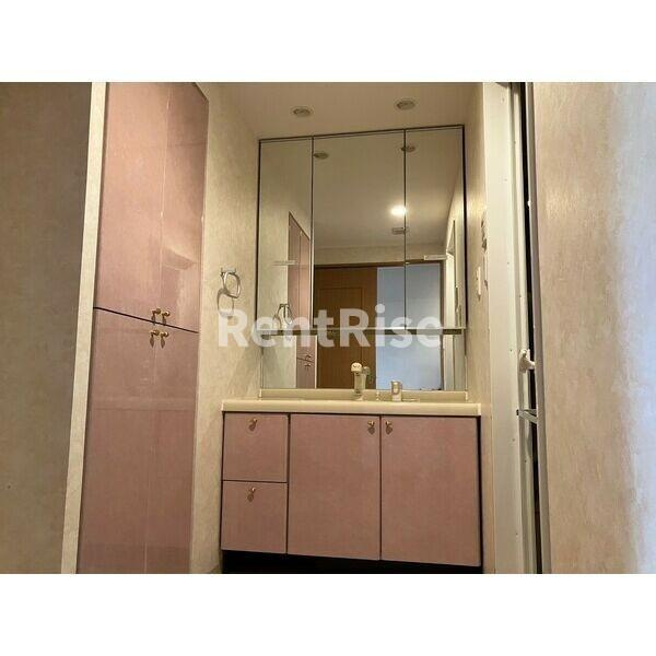 メイツ江南の洗面所