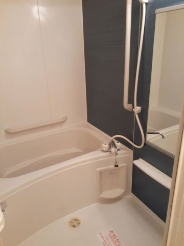 ブリアンジュネスの浴室