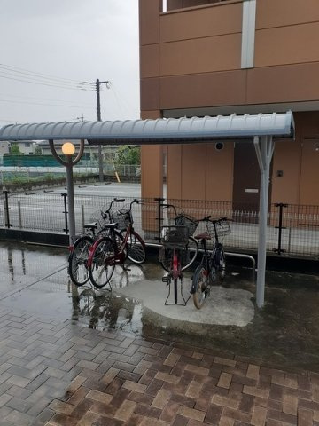 ファザム・ビュウ菊池のその他