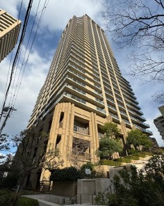 コムズシティ野江Ｄ棟　11階の外観