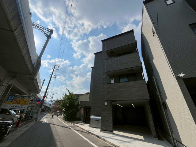 コートデイジー