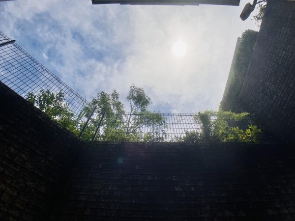 パークフロント大山の展望| 