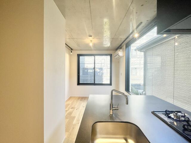 trias228の展望
