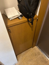 落ち着いた玄関です