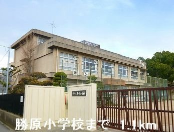 【周辺】 | シルフィード | 勝原小学校まで1100m