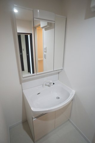 菊池郡菊陽町大字津久礼の賃貸マンションの洗面所