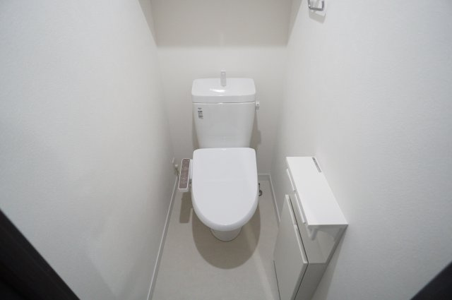 菊池郡菊陽町大字津久礼の賃貸マンションのトイレ