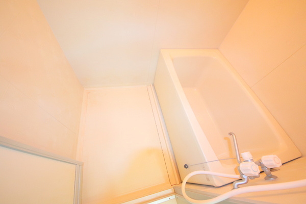 タラ生駒Ⅰの浴室