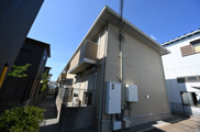シャローパディの画像