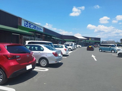 【周辺】 | ホワイトルーム老津 | たつみストア・セリアまで2700m