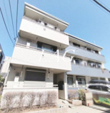 エバーグリーンの画像