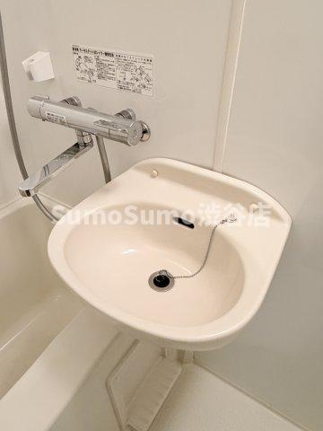 Lasante広尾の洗面所