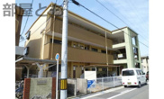 リプルイワツキの画像