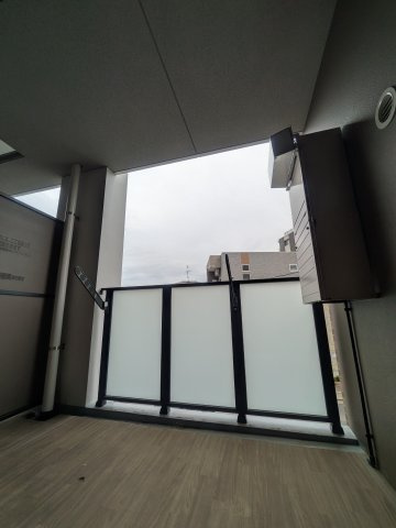 RISOIE‐CINQの展望