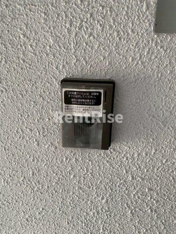 プチ桜のその他