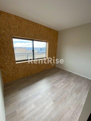 プチ桜の居間・リビング