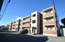 リベラルコートの画像