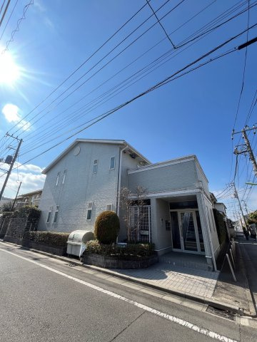 ＳＵＮＮＹ　ＣＯＵＲＴ