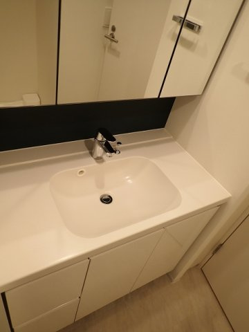 Brillia ist 文京六義園の洗面所