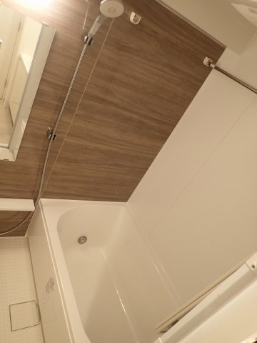 Brillia ist 文京六義園の浴室