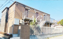 ＣＯＲＡＬ ＢＬＵＥの画像