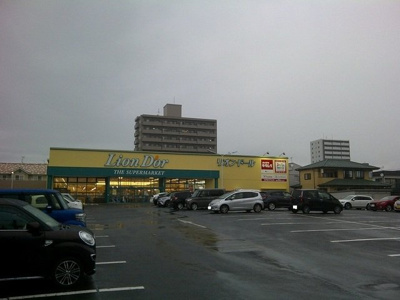 【周辺】 | ララフラッツ | リオン・ドール野田店まで100m