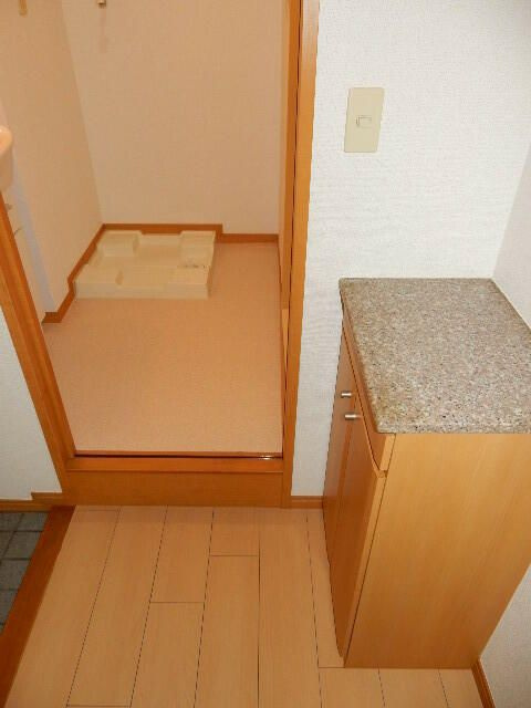 パスィフィークのその他