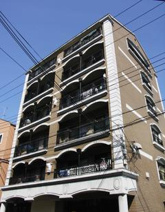 コムシノアの画像