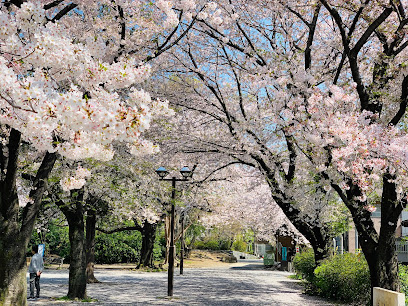 レジディアタワー上池袋（タワー棟）の周辺