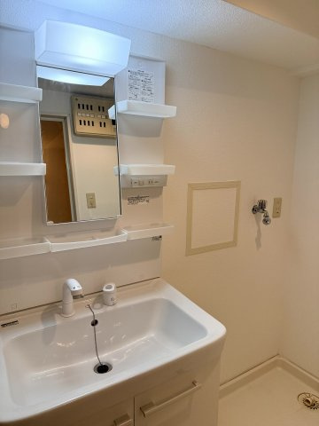 ベネフィス鴨池Iの洗面所