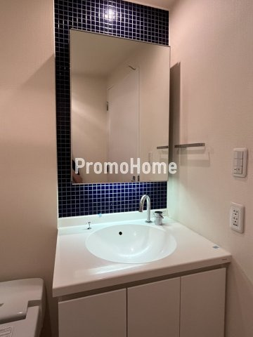 ラドゥセール浅草橋の洗面所