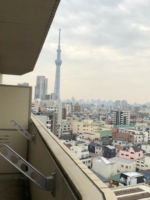 アルテシモ　イズムの展望