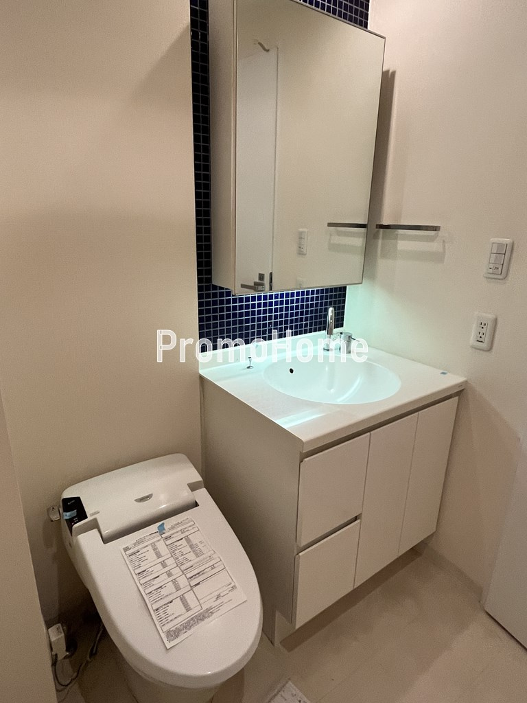 ラドゥセール浅草橋の洗面所