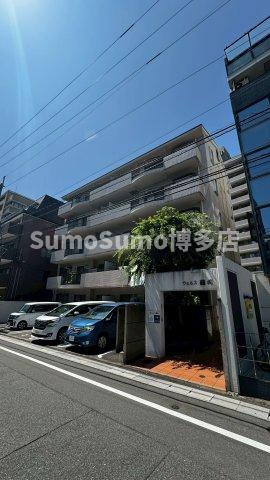 ウェルス藤崎