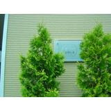 SEIWAⅡのエントランス